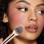 فرشاة تجميل إحترافية